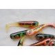 Bigeyes shad custom color