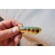 Bigeyes shad custom color