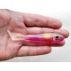 Bigeyes shad custom color