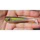 Bigeyes shad custom color