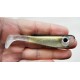 Bigeyes shad custom color