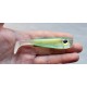 Bigeyes shad custom color