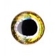 Nouveaux Yeux 3D pupille oblongue 5 mm (plaquette de 28 unités) coloris gold / silver